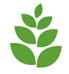 site logo